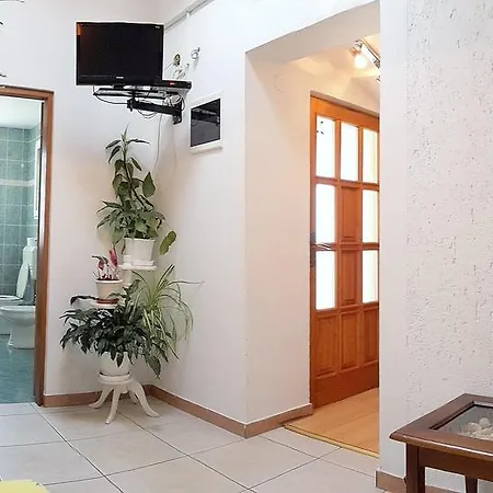 Apartment Dandolo