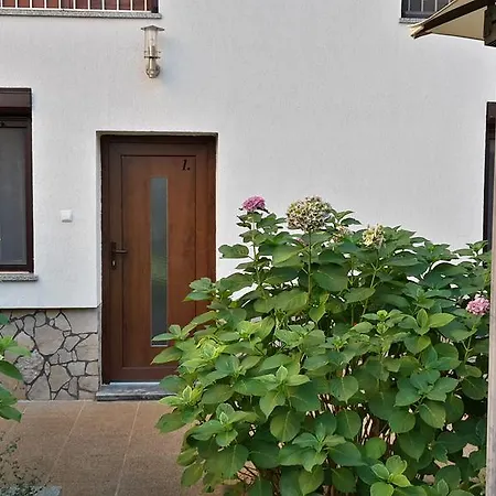 Dandolo * Ρόβινι