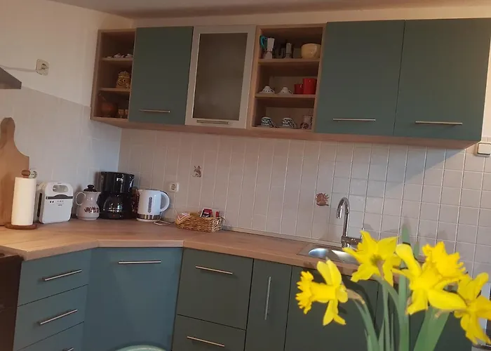 Διαμέρισμα Dandolo Ρόβινι